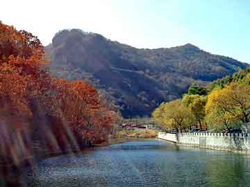 新澳天天开奖资料大全旅游团，倾城皇妃